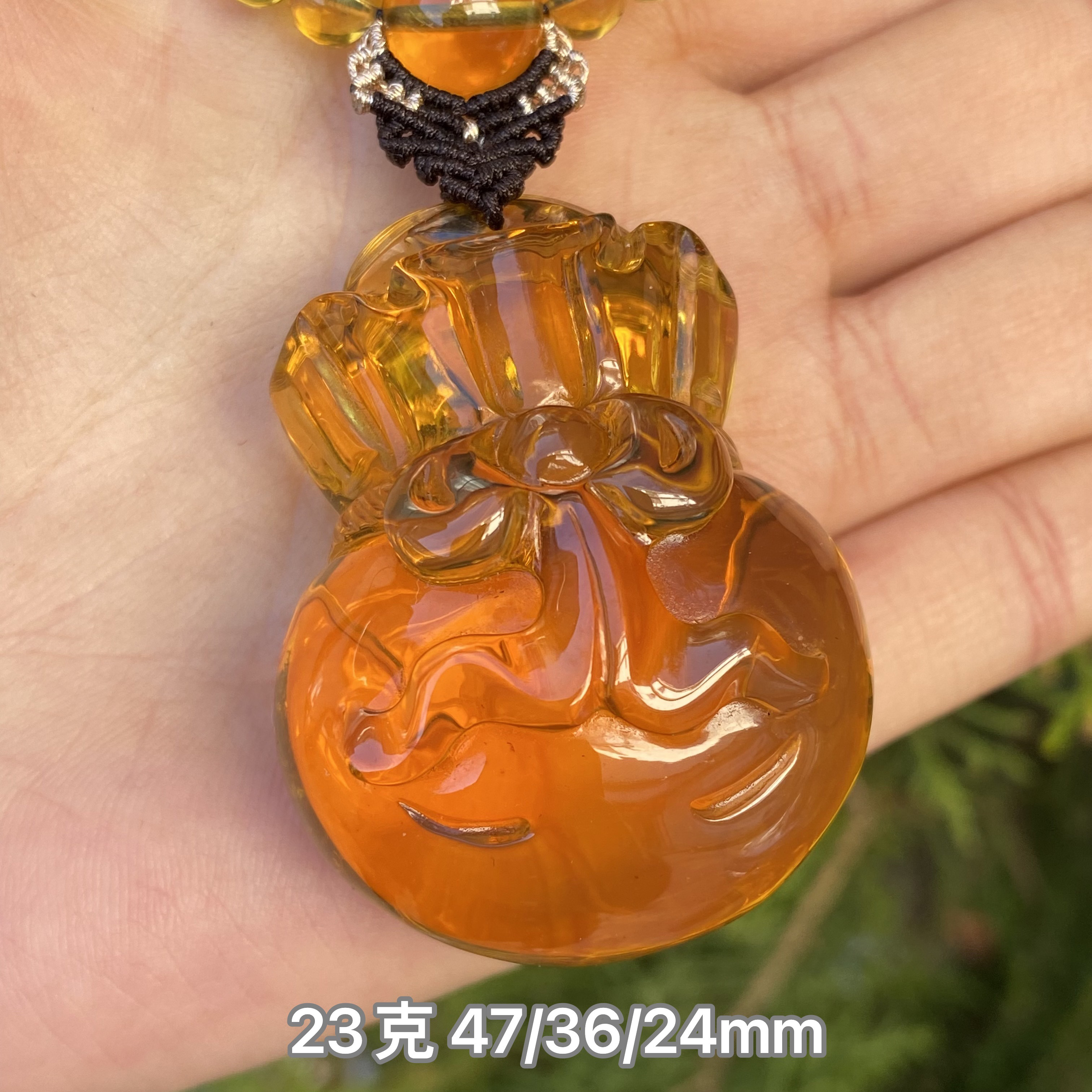 【小伊琥珀】23克黄茶饱满钱袋