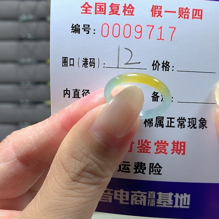 翡翠未镶嵌戒圈wp9717