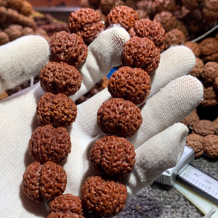 大***帅金刚菩提手串22尺寸回血大金刚