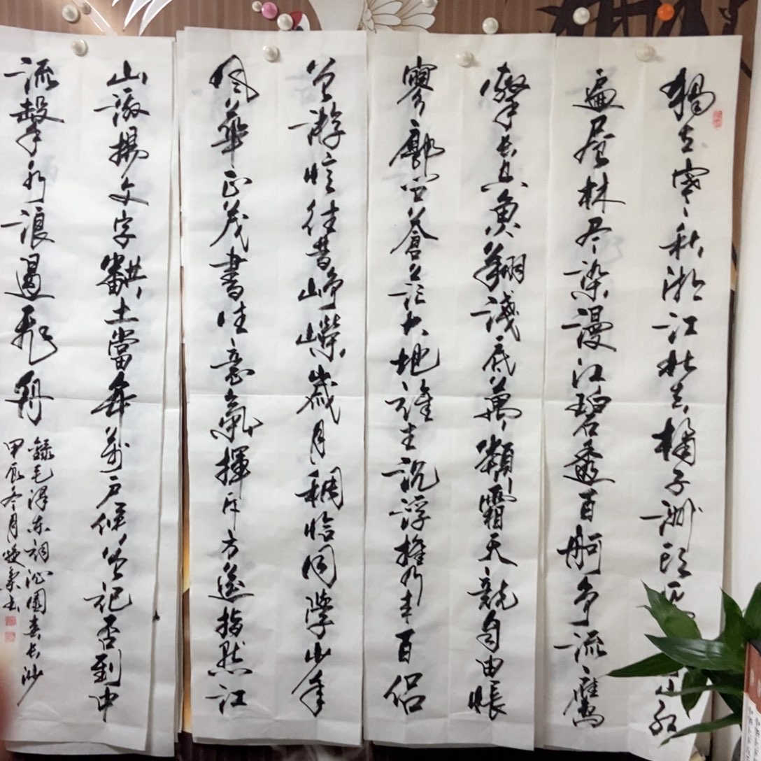 书法老师精品书法