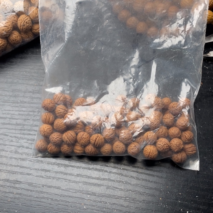 不***人散籽批发小桃核240