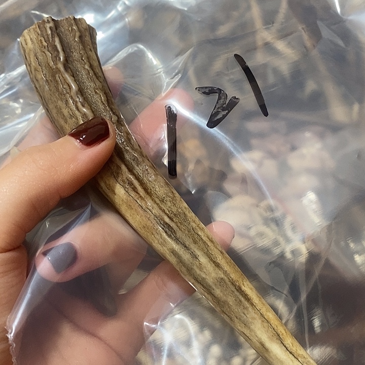 傲***6无非金属鹿角鹿角