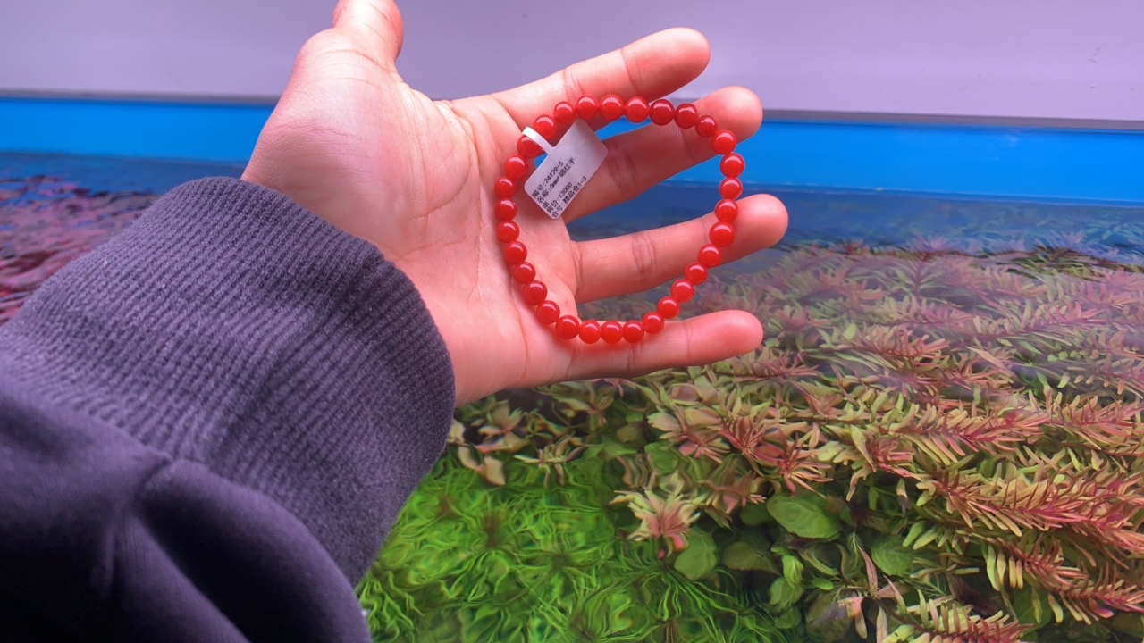 天然原矿南红手串6mm