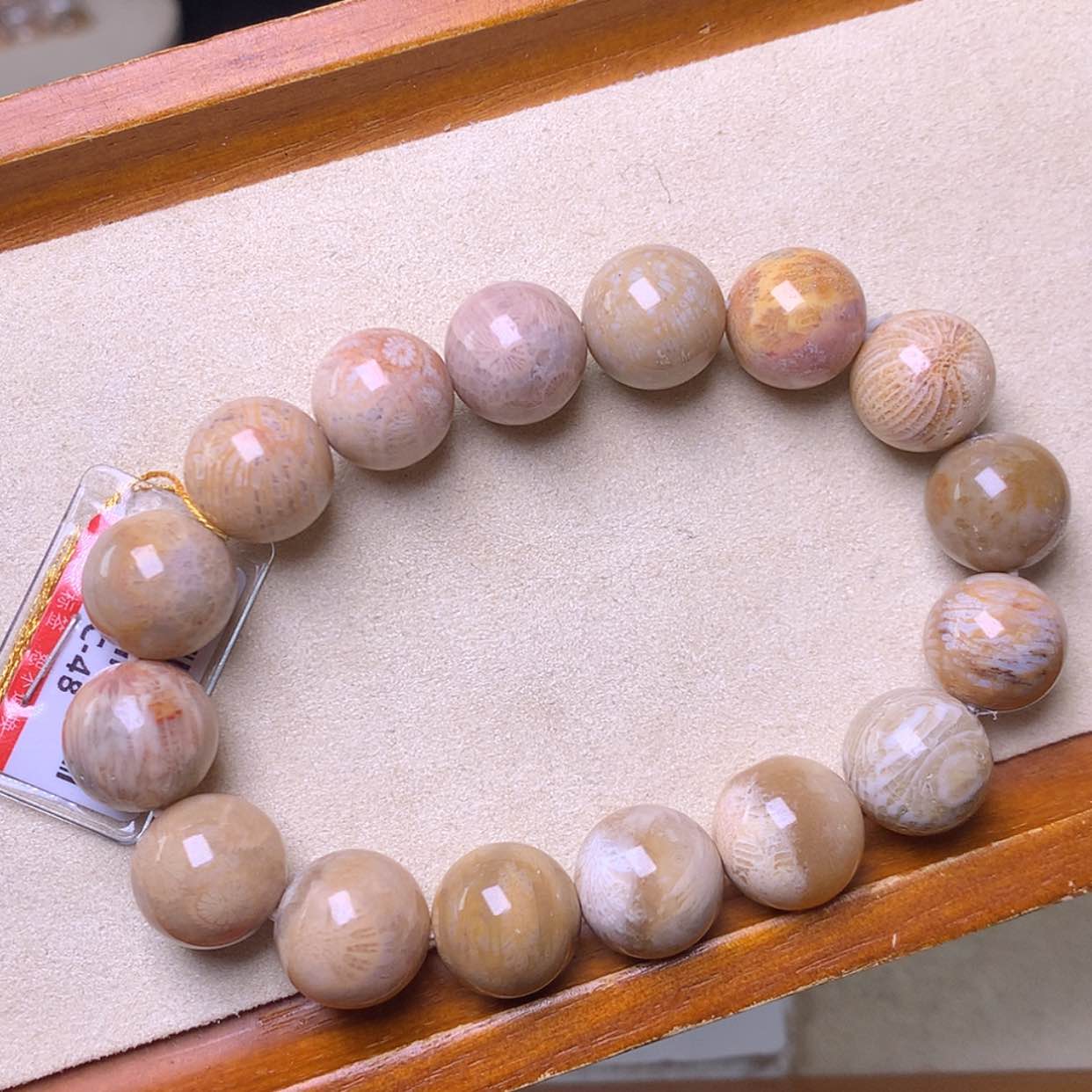 【闪购商品】硅化珊瑚（珊瑚玉）手镯未镶嵌48漏