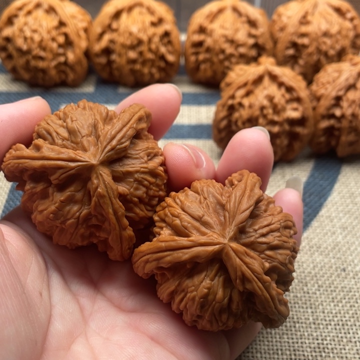 ㅤ***ㅤ石楠木白狮子43核桃