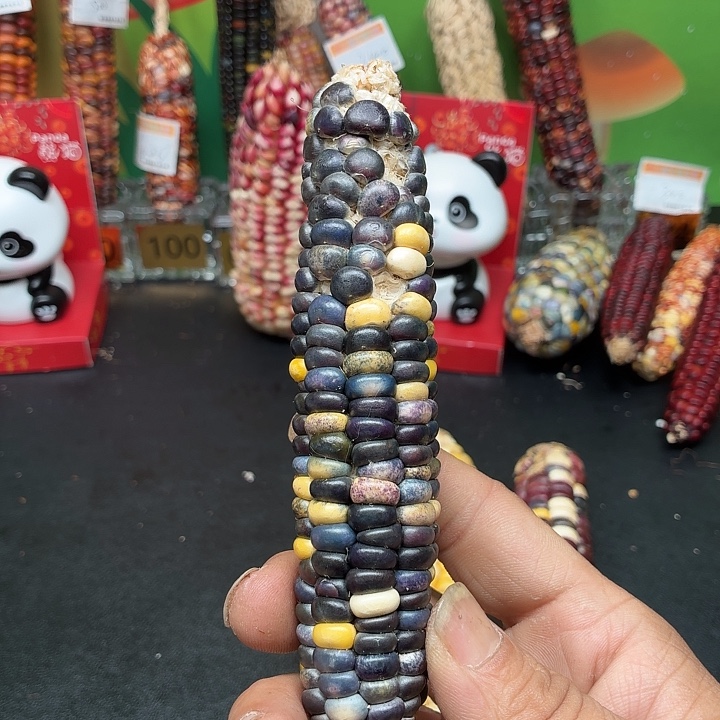 凉***✿柏香籽/百香籽吊坠