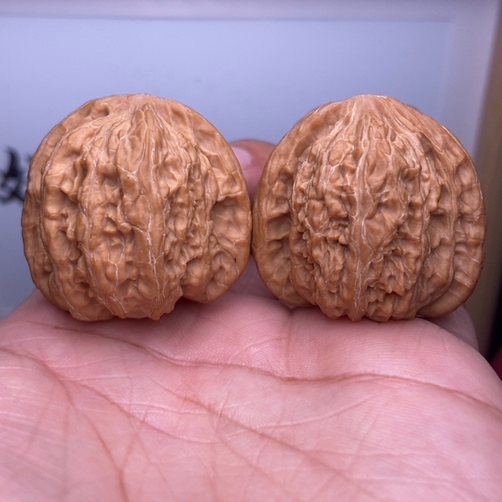 核桃全品密纹狮子头