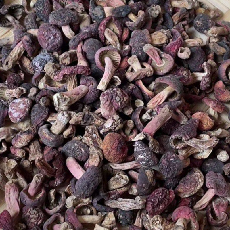 【小盯菇丑菇】真的正红菇新菇干货 云南红面蓝灰底 瑕疵菇