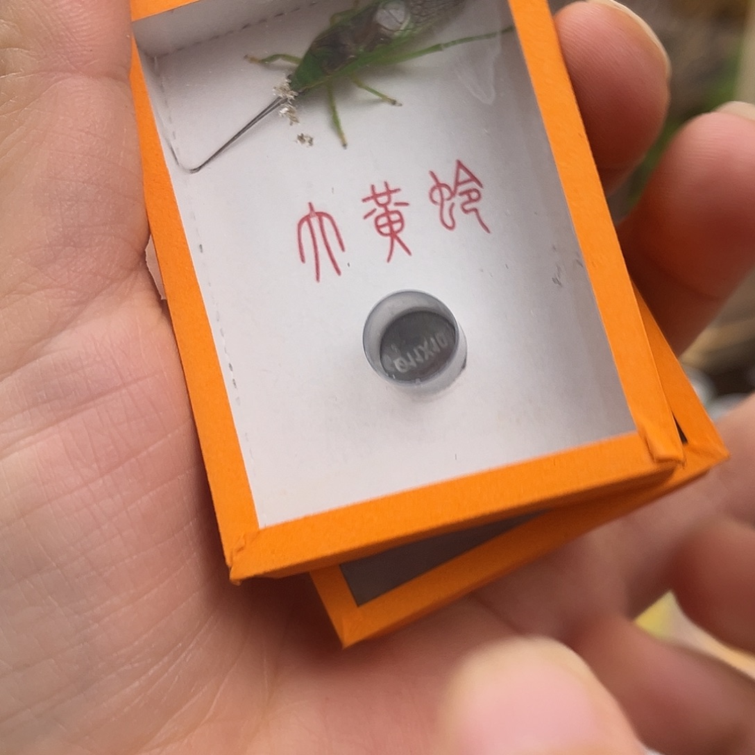 霍氏哈哈哈哈哈哈哈