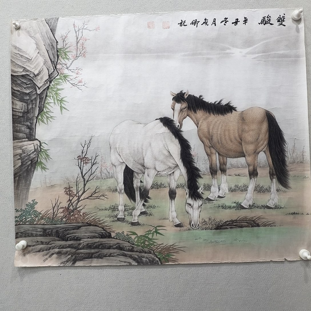 斐***国画工笔画作品纸本