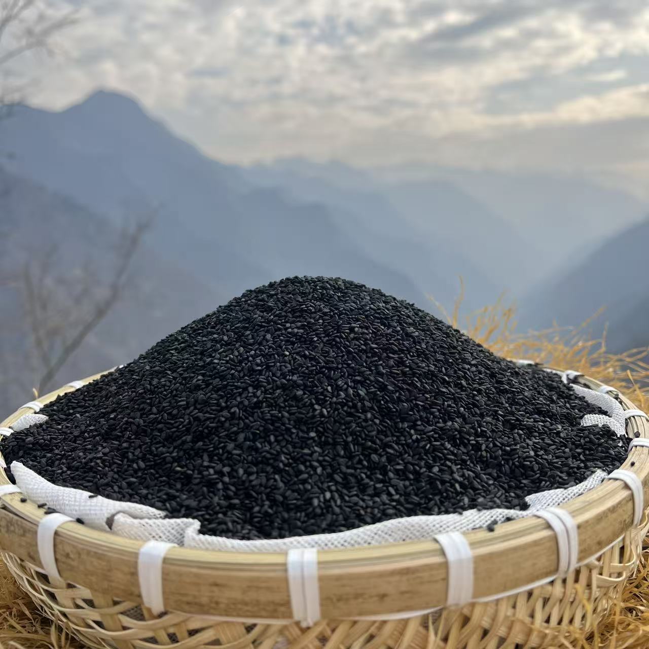 九蒸九晒黑芝麻丸