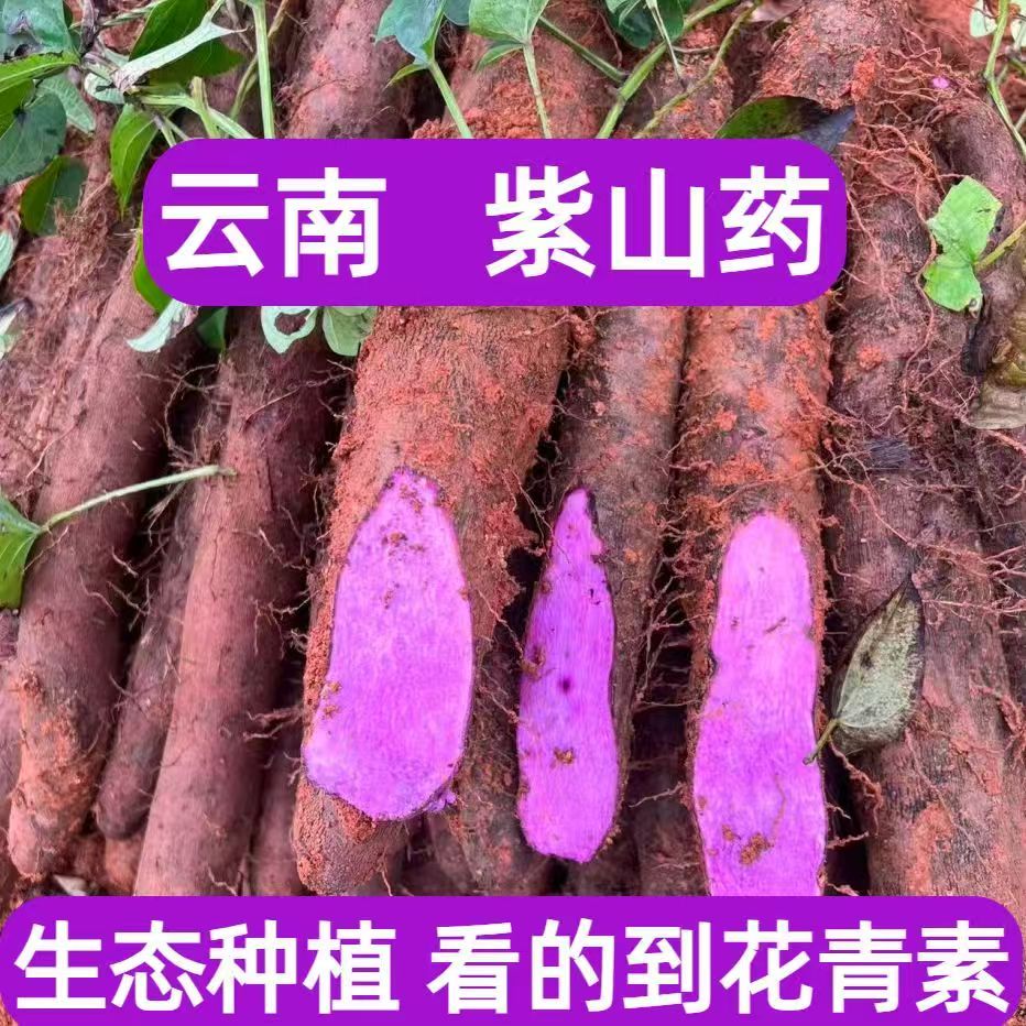 正宗云南紫山药新鲜非铁棍山药紫色大薯脚板薯山药