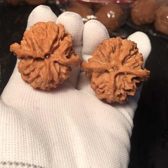 文玩核桃把件苹果园41