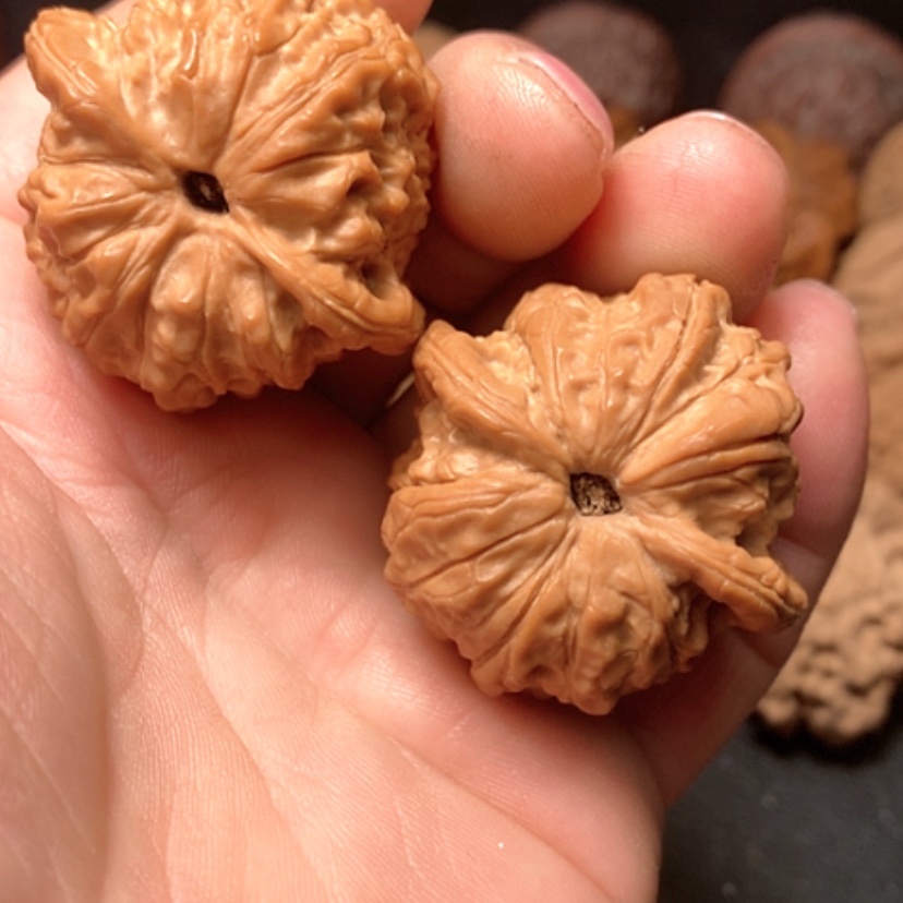 【闪购商品】刘**顺血麒麟