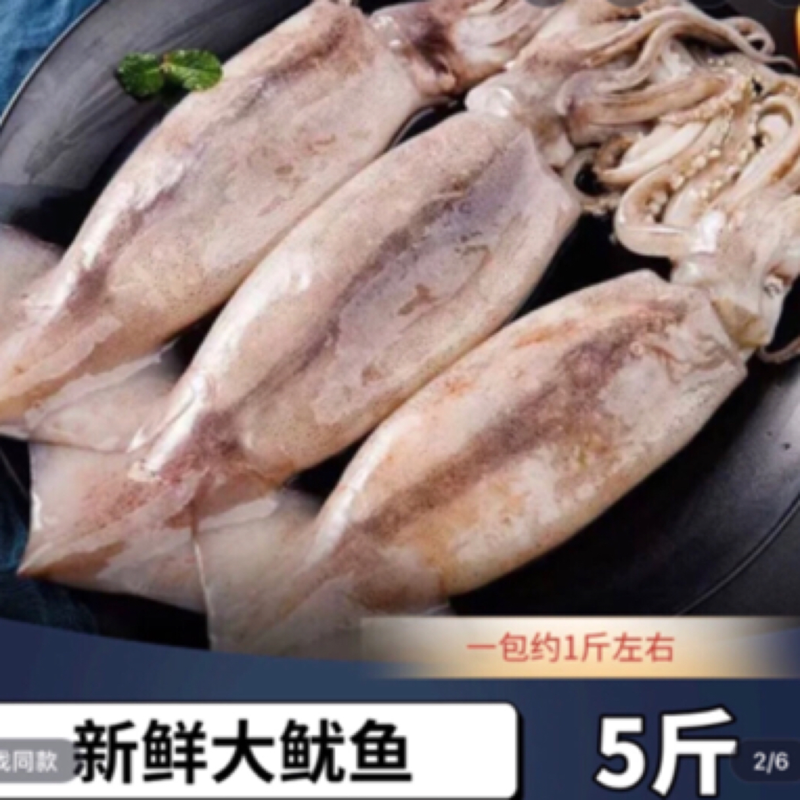 连云港发货  深海原浆大鱿鱼整条不清理  5斤（单条重1斤左右）