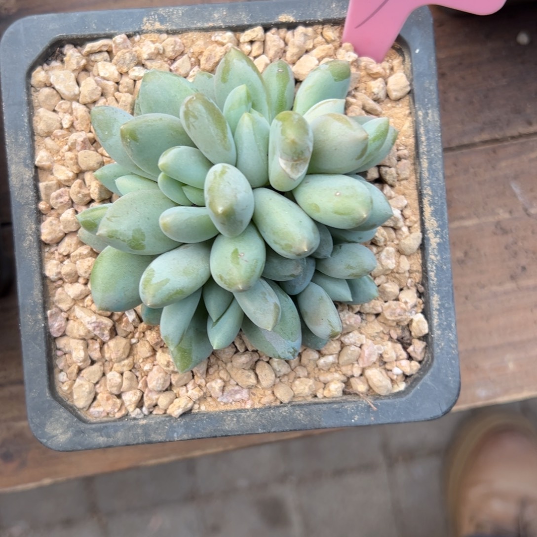 成***哥哥特111111111111111