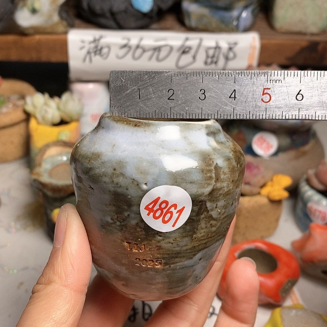 红陶拍5送一个小