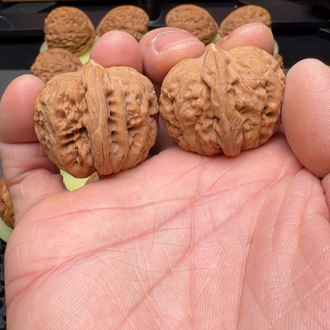 文玩核桃把件元宝38