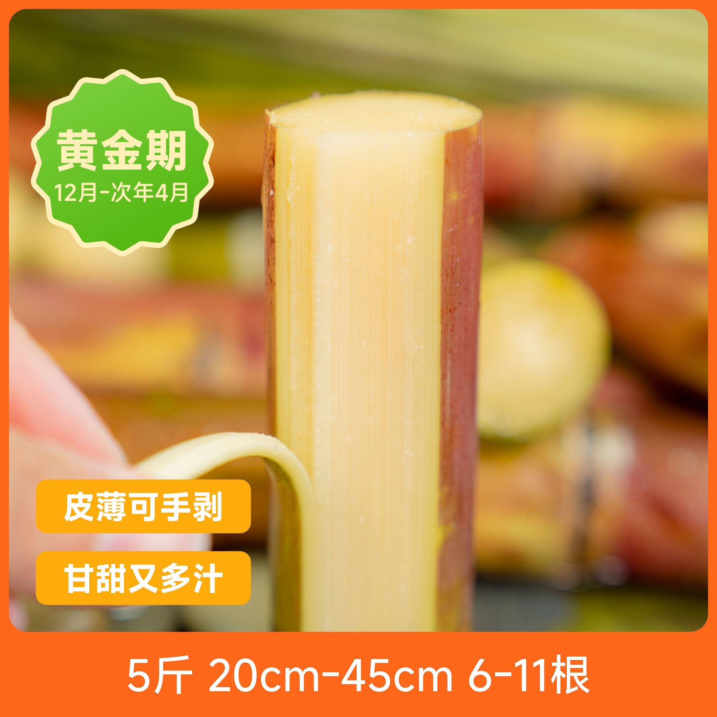 辰颐物语云南脆皮甘蔗5斤装6-11根 新鲜水果手撕甘蔗