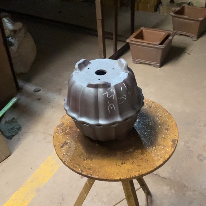 紫砂花盆白色衣服