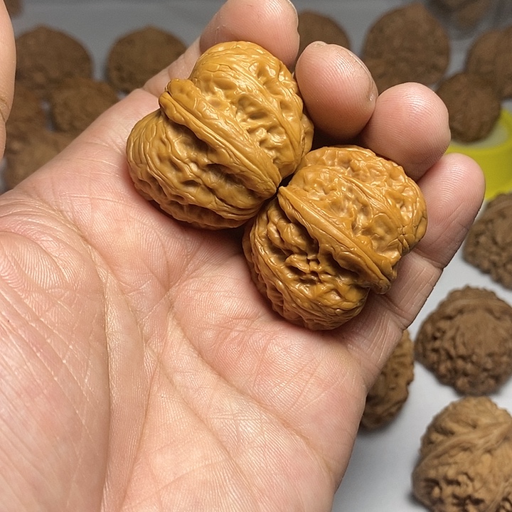 文玩核桃把件小****料40.5尺，元宝