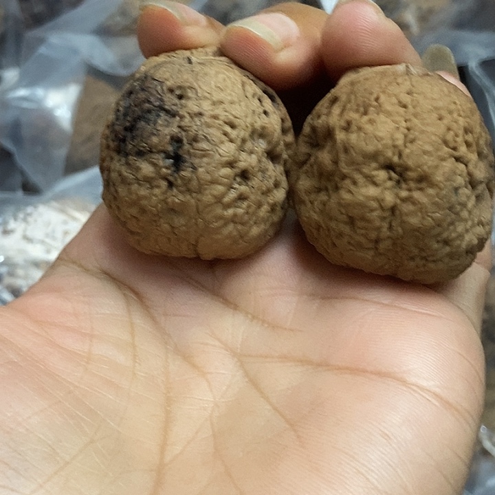 把件文玩核桃云南铁核桃基地1