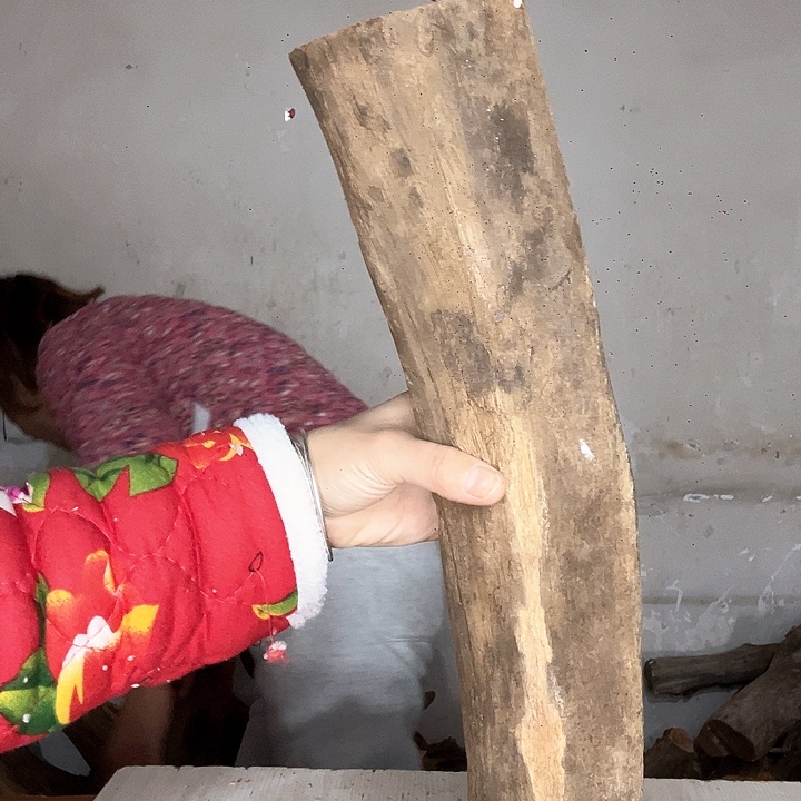 芭***花木太行 崖柏摆件摆件