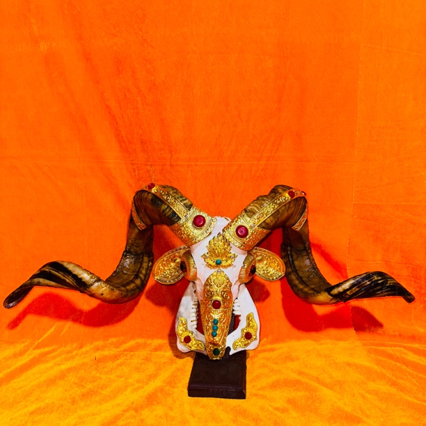 藏式包铜羊头骨工艺品 手工镶铜羊头标本 壁挂装饰 摆件店面装饰