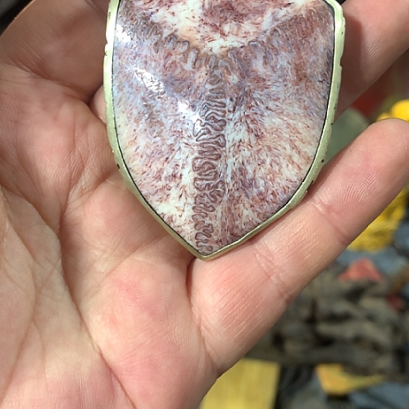 【闪购商品】发财致富发财致富发