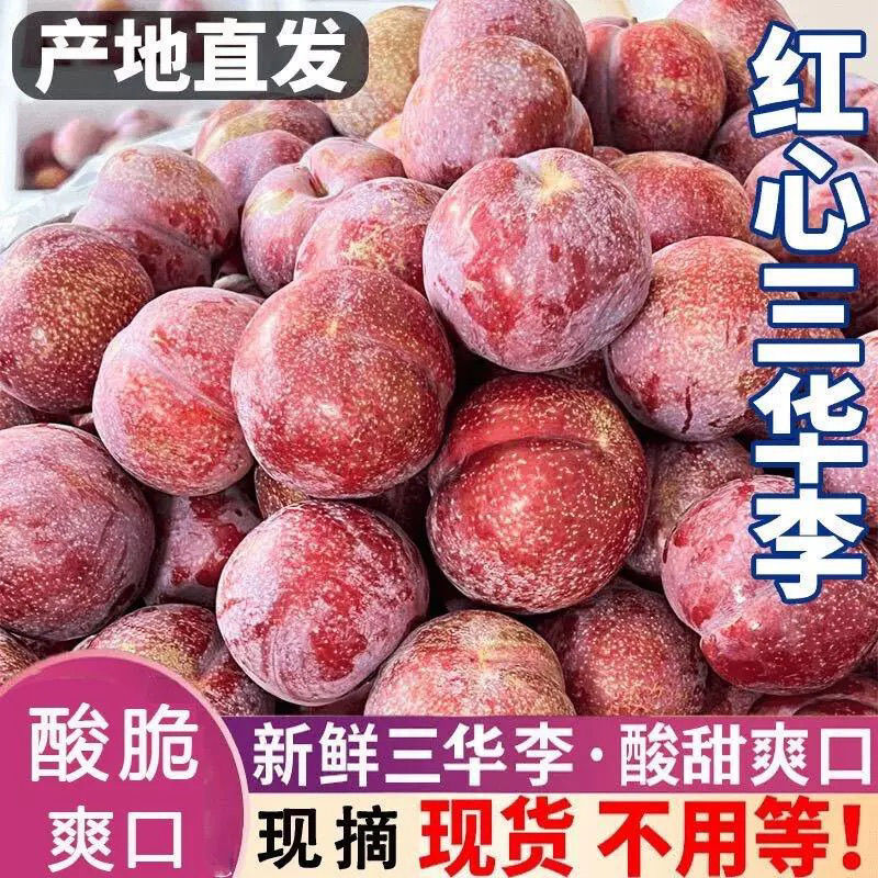 红心三华李新鲜当季水果酸脆爆汁孕妇爱吃xx