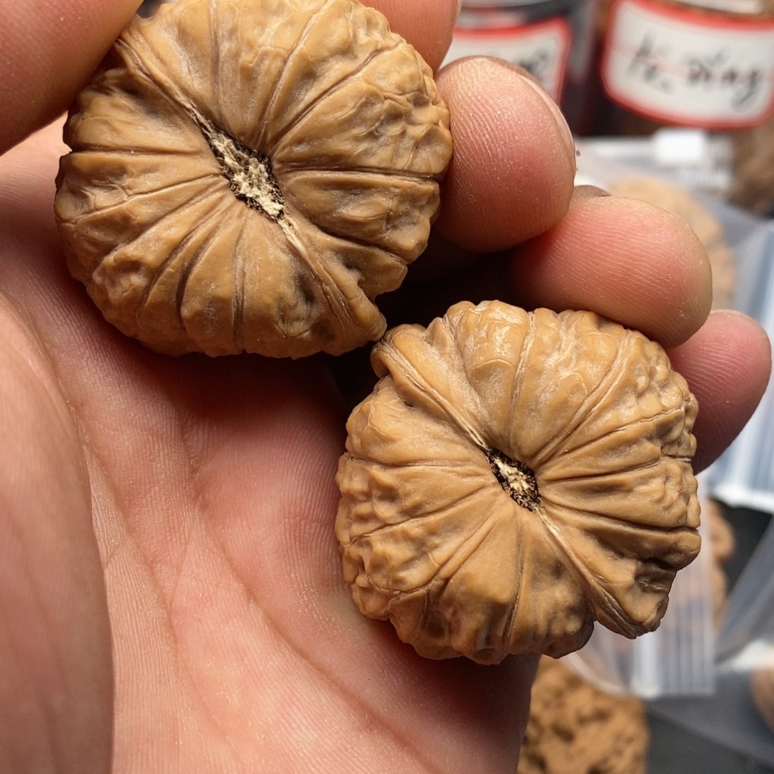 文玩核桃把件博*南瓜40