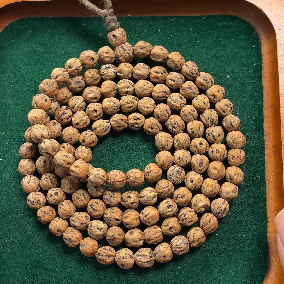 水***星柏香籽/百香籽手串