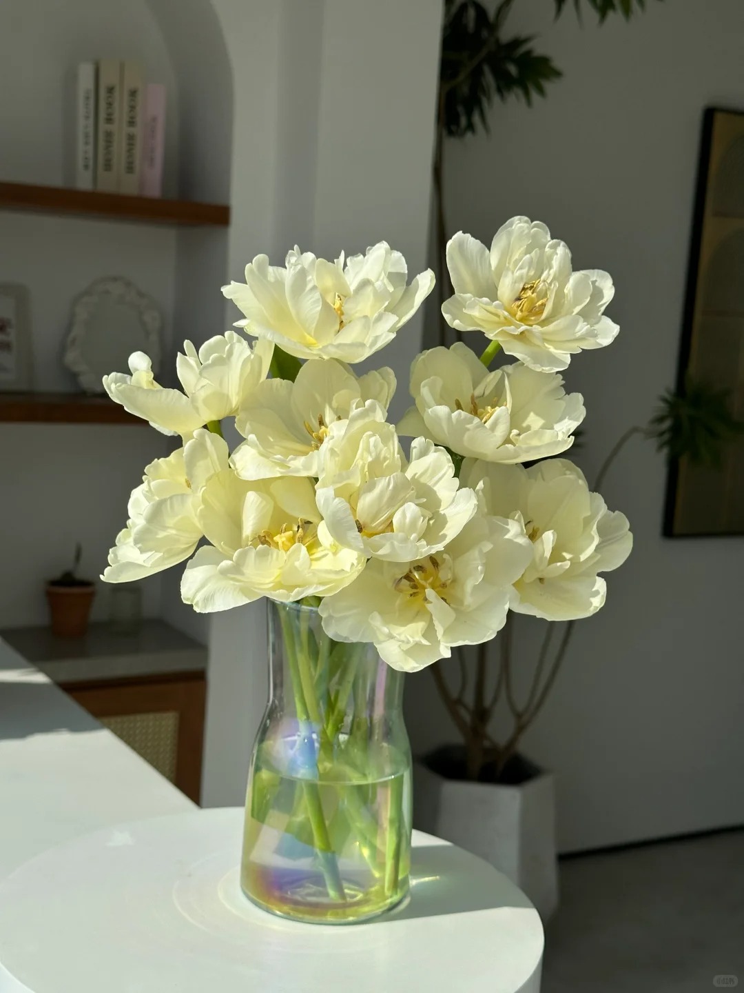 【源头优选】郁金香云南直发鲜花家居水养插花鲜切花