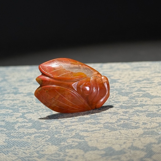 明早期红缟蝉形佩-HBG15553（福利品）