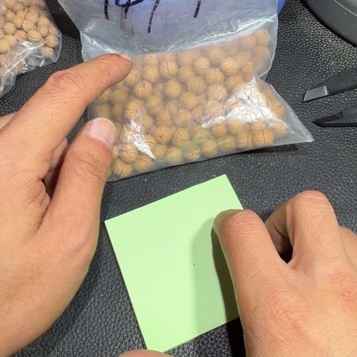 寳***芦桃核吊坠野生小核桃6