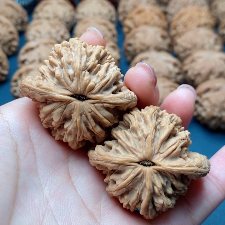 文玩核桃把件43麦虎