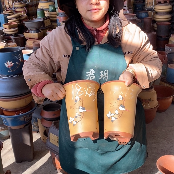 紫砂花盆盆栽花卉苗木种植