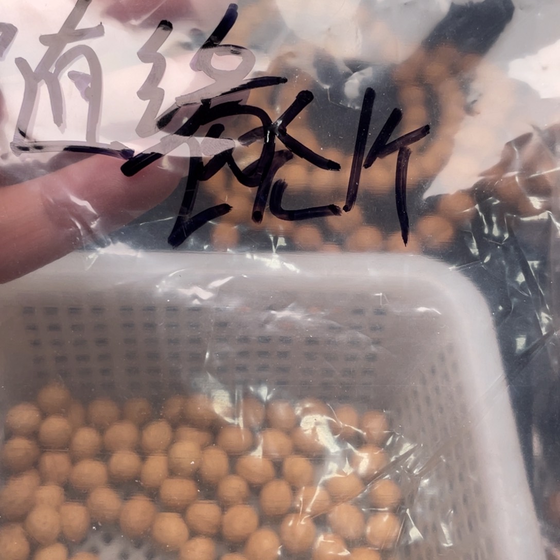 【闪购商品】乘**浪散子批发150米