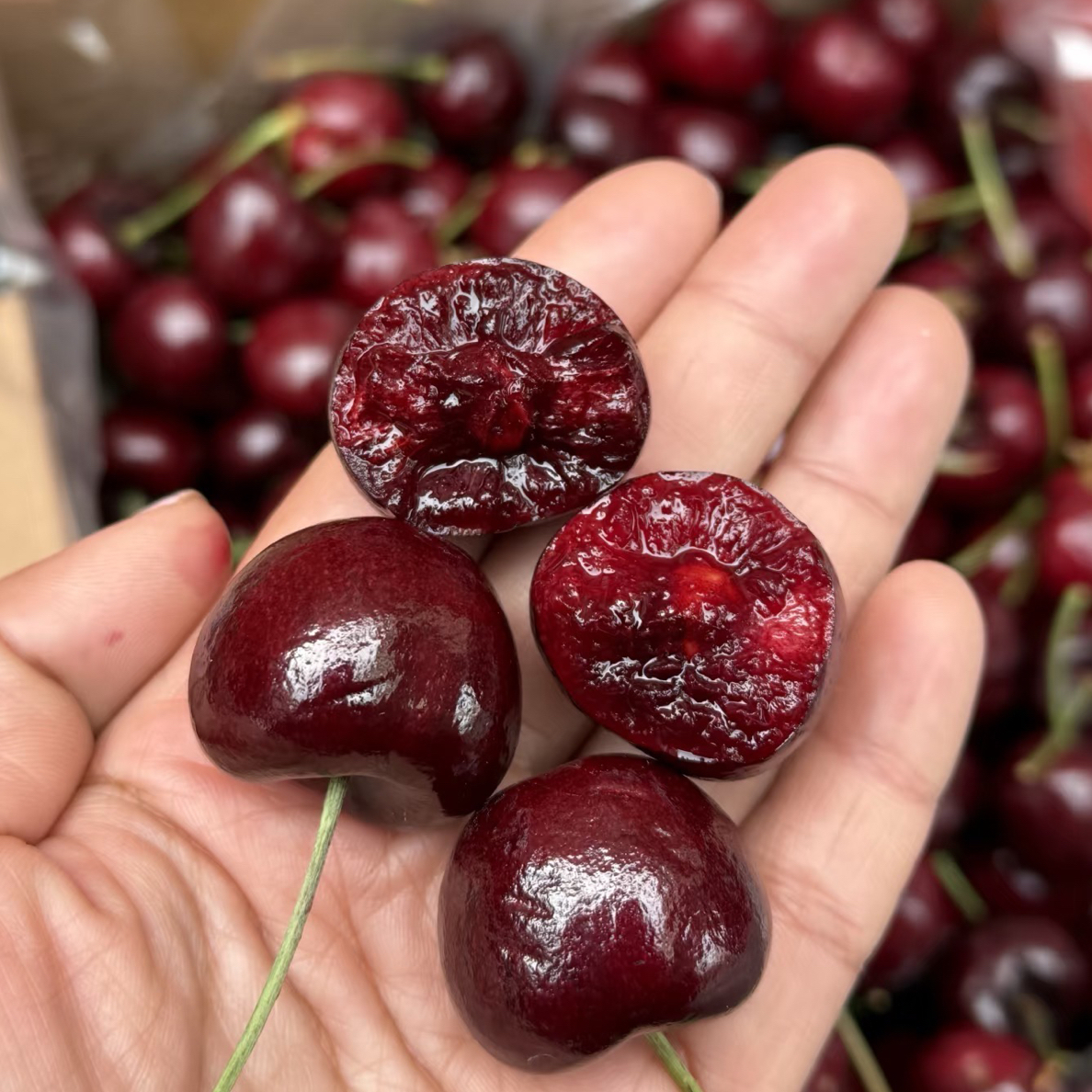 空运车厘子J-4JD新鲜宝宝孕妇补血水果3斤桑提娜樱桃智利共和国