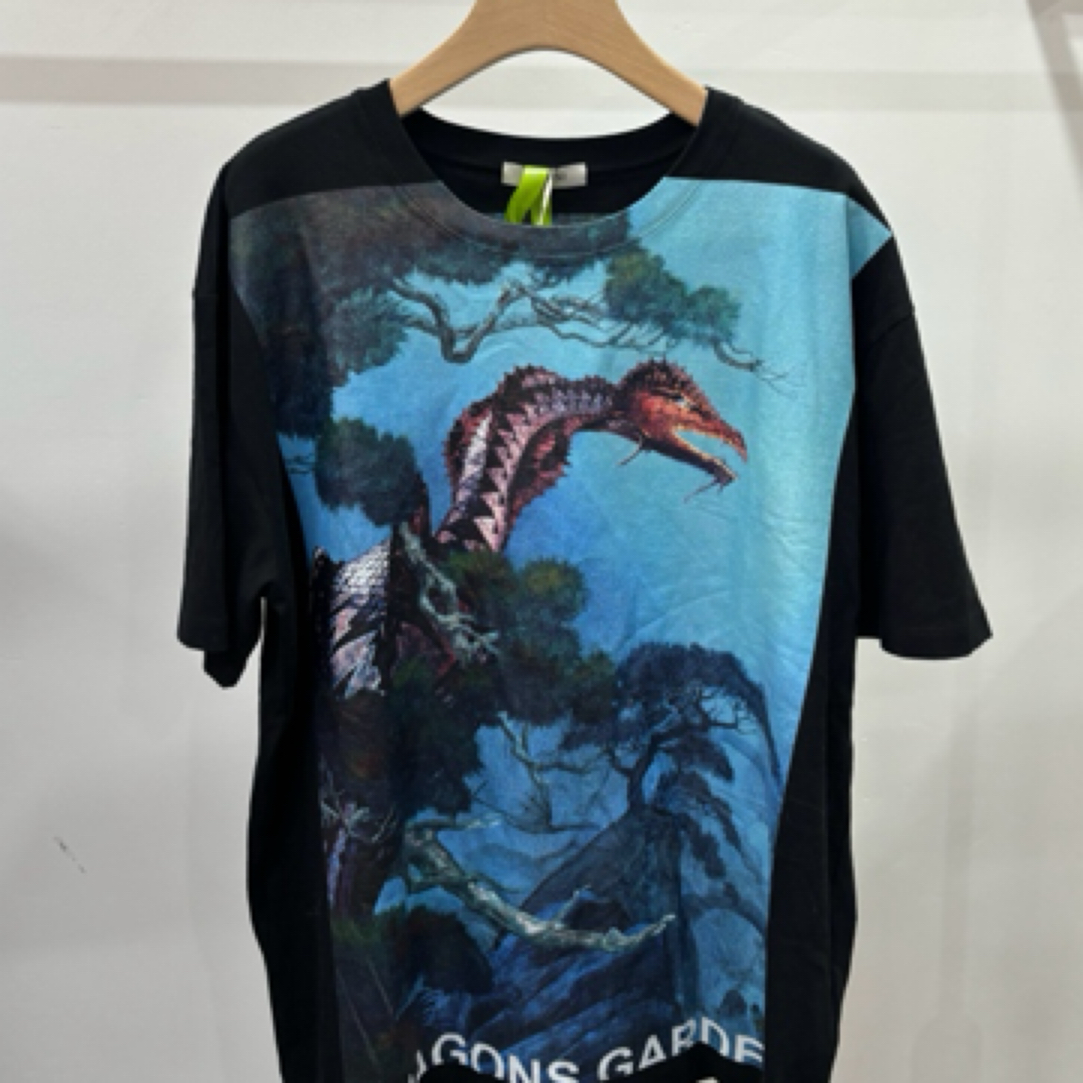 99新 Valentino/华伦天奴 动物渐变印花短袖 /L码/C00568