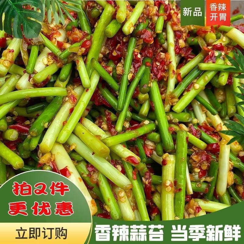 新鲜嫩蒜苔腌制蒜苗江西特产手工剁椒蒜杆腌蒜薹下饭菜凉拌菜蒜苗