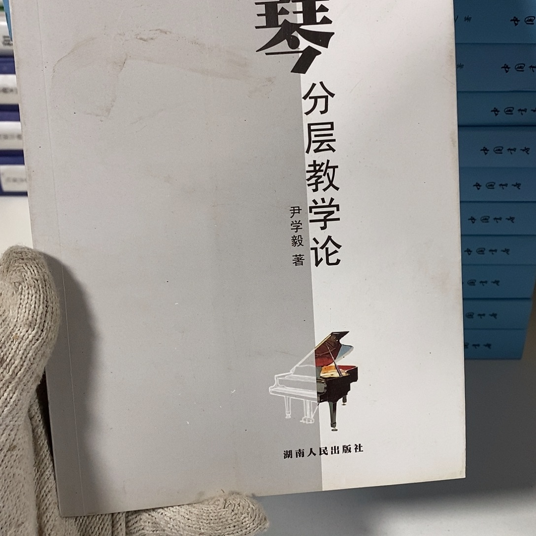 钢琴分层教育学论