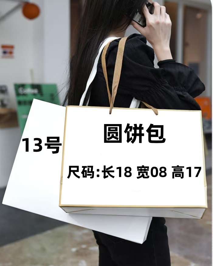 【13号】2024秋冬新款圆饼包时尚轻奢气质洋气