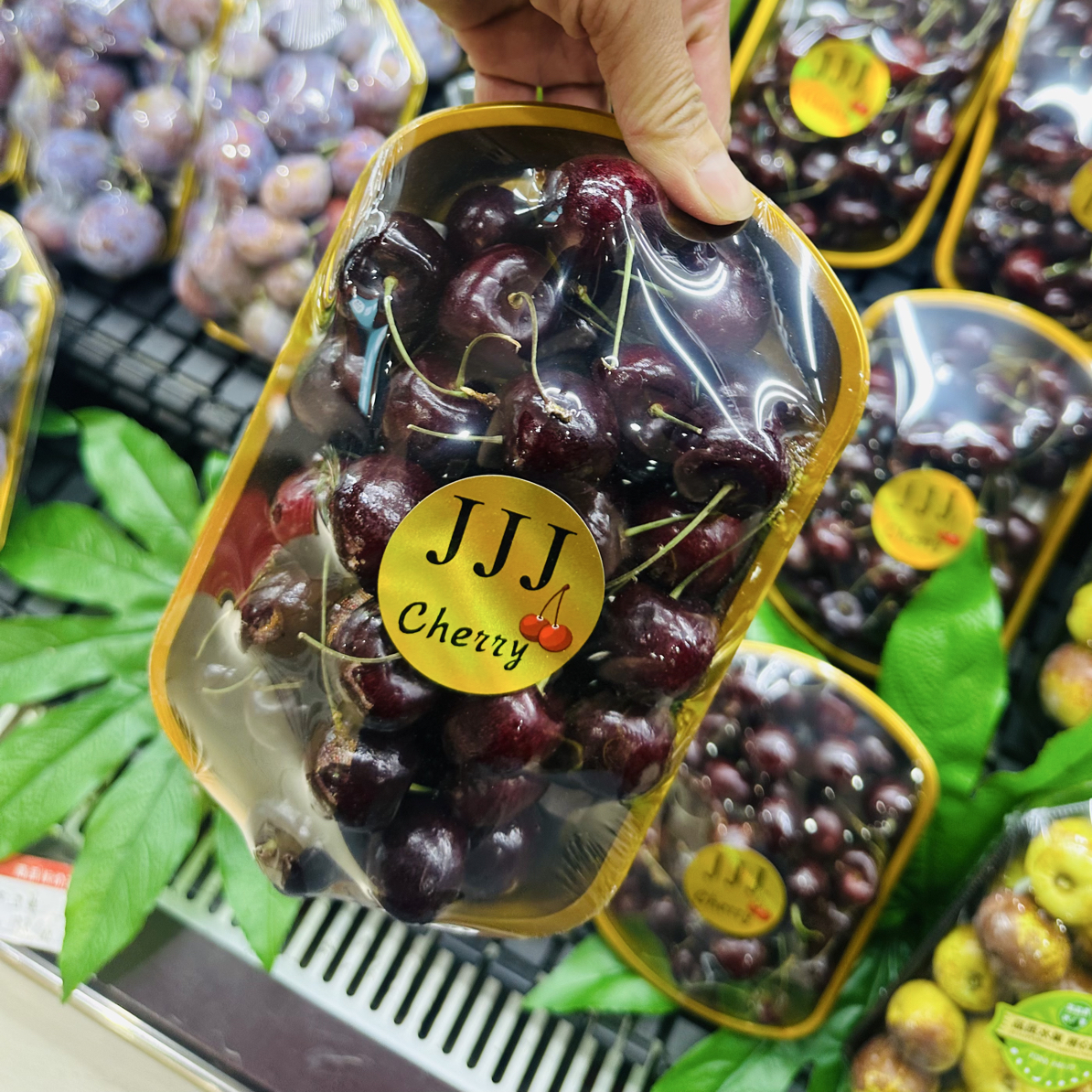【超好吃】车厘子约500g/份3J桑提娜智利