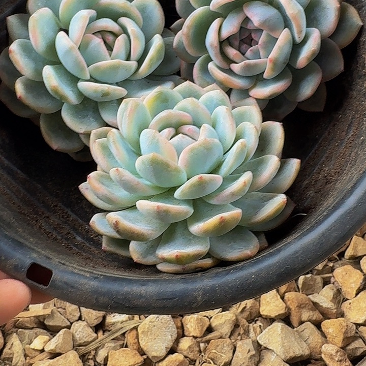 z***。哈哈哈哈哈哈哈我的天