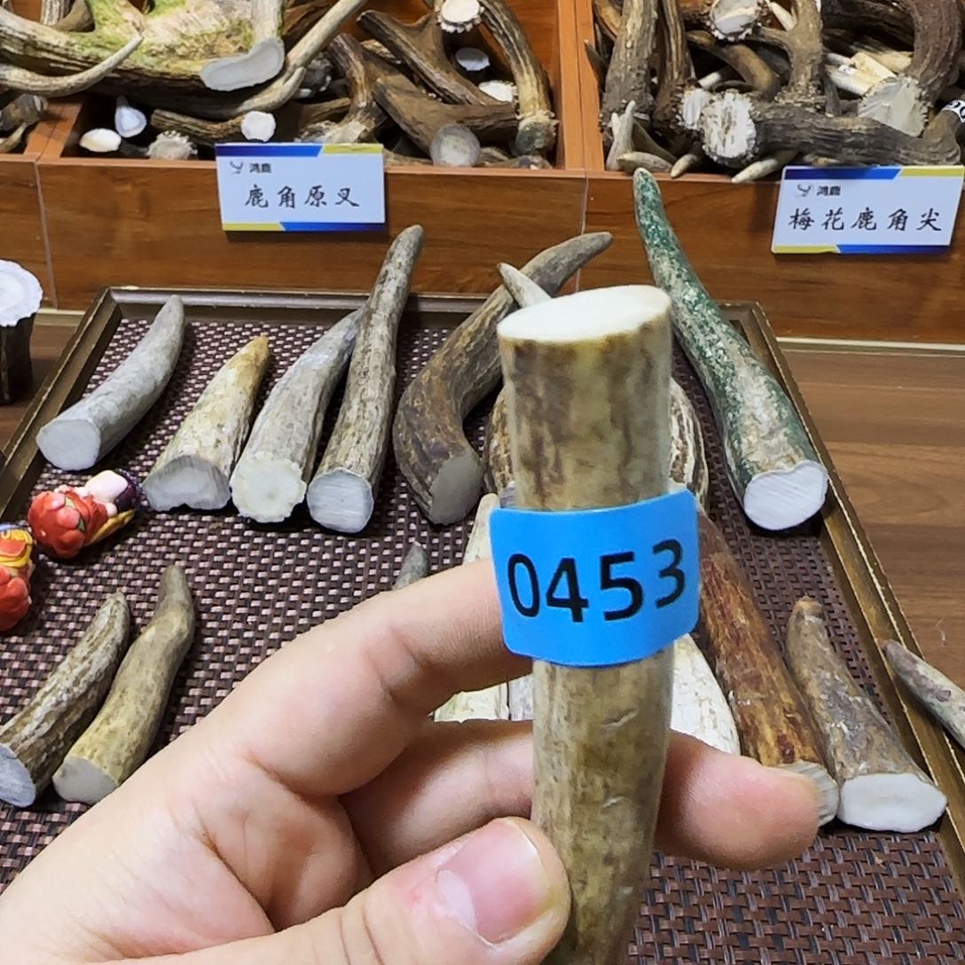 手串/手链鹿骨角尖0453