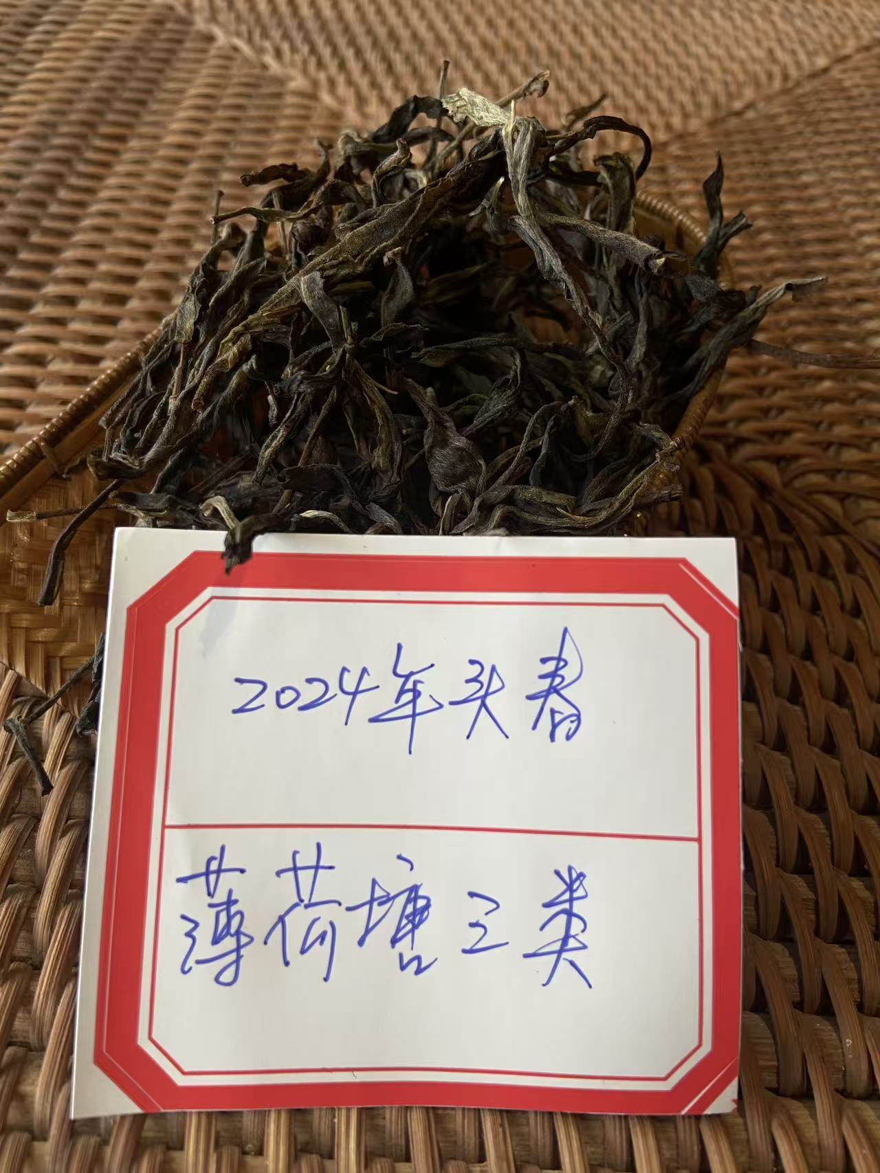 普洱茶2024年薄荷塘三类头春