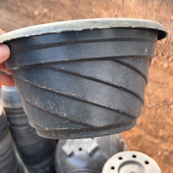 塑料口径20高度12黑螺旋一组30个