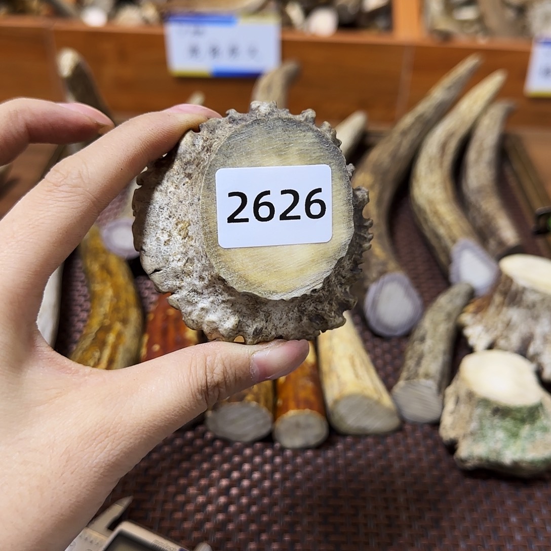 鹿骨手串/手链角帽2626