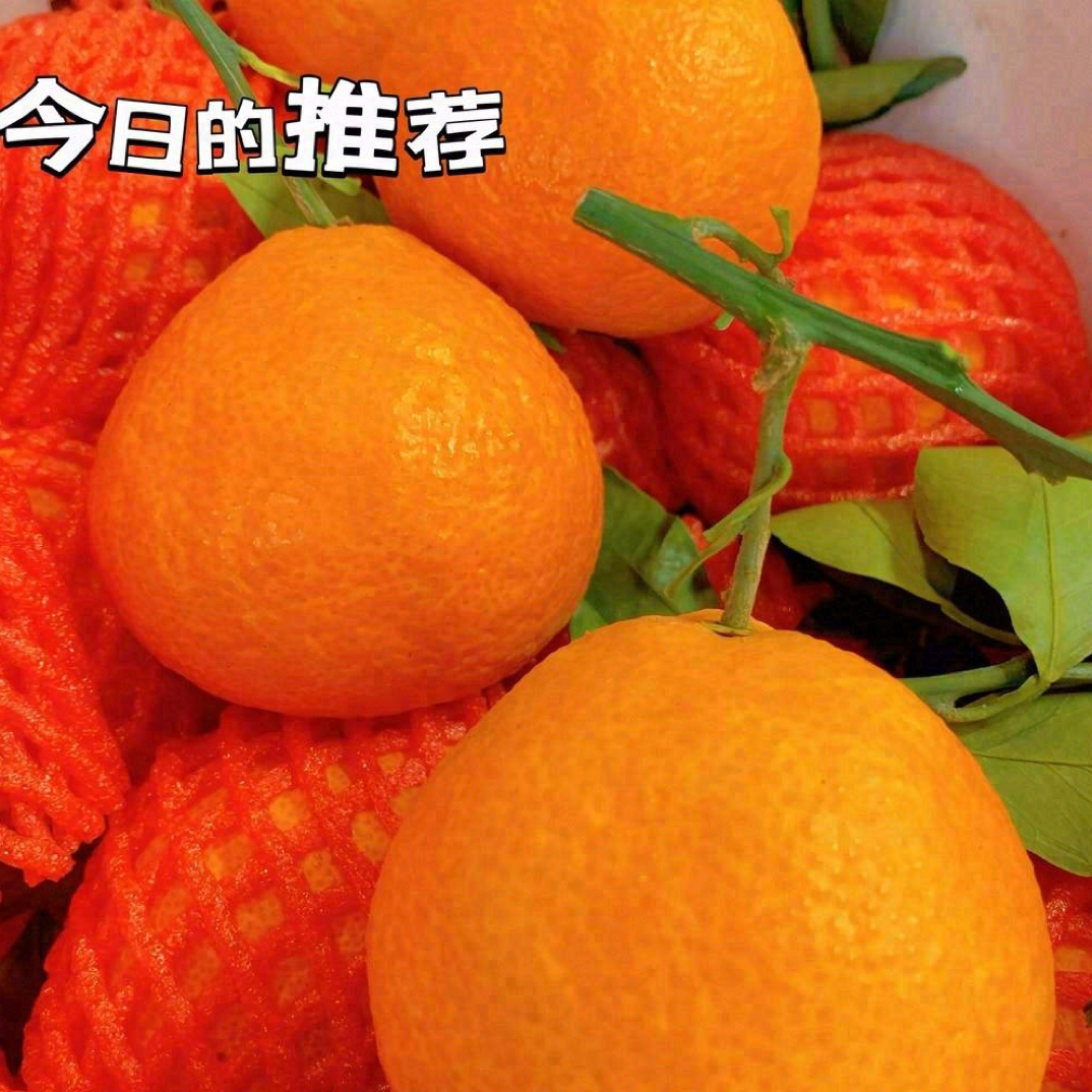 爱媛果冻橙4粒约1000克云南省